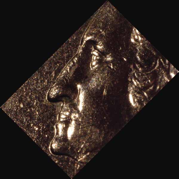 Pringles Macro Quarter Face