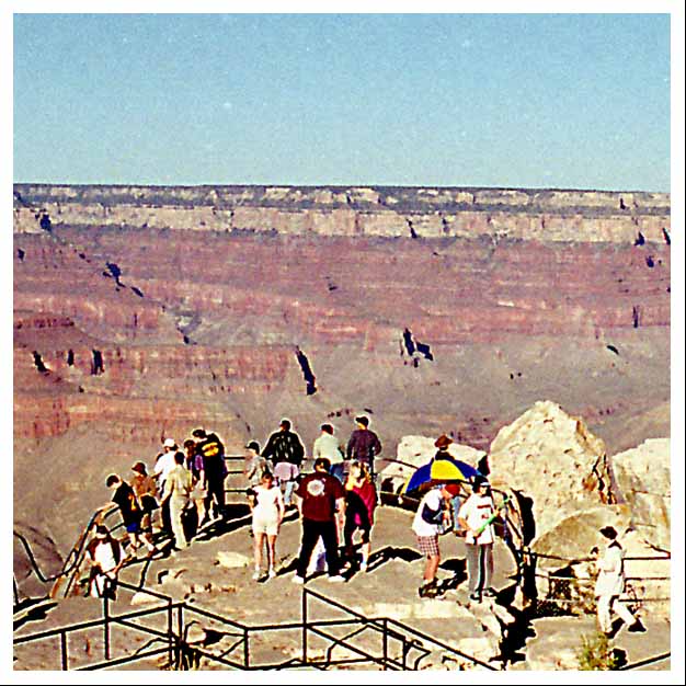 pants down and big green gun