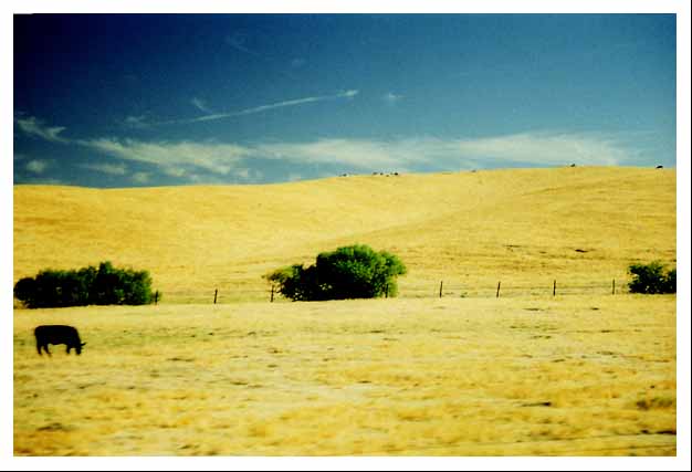 Cross-processed driving 3