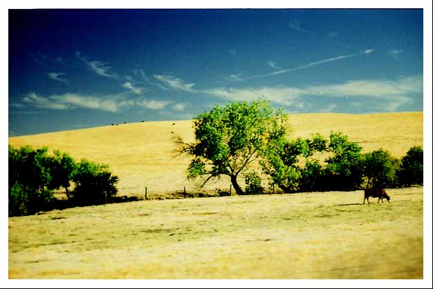 Cross-processed driving 2