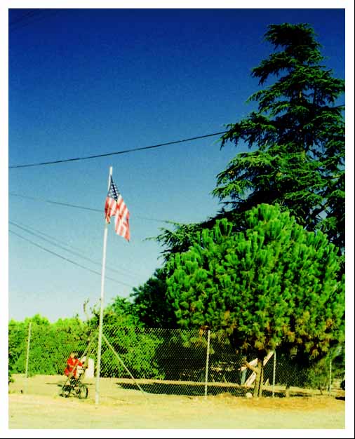 Cross-processed flag