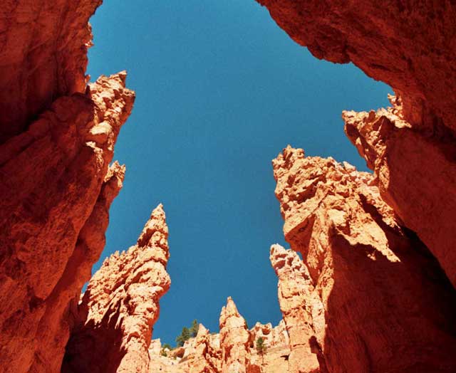 Bryce - Wallstreet 1