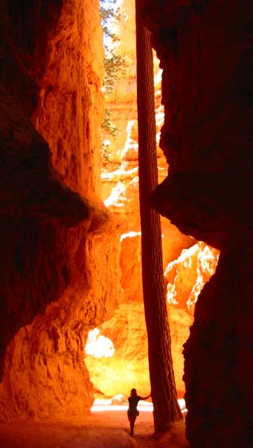 Bryce - Wallstreet 2