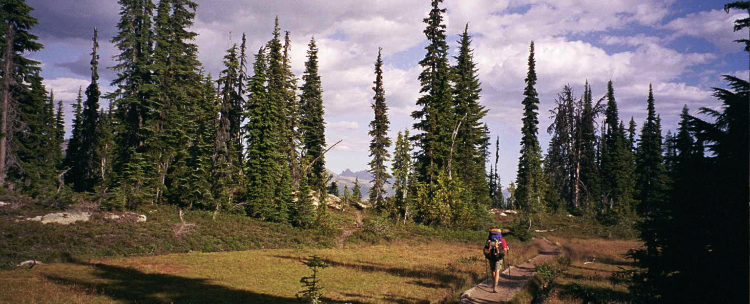 Descending from Cathedral Pass