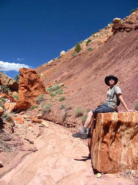 block sittin' in Egg Canyon