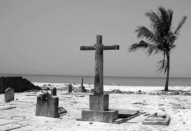 Cemetery on the beach