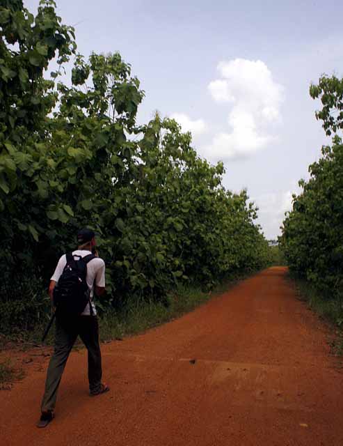 The walk to Tafe Atome