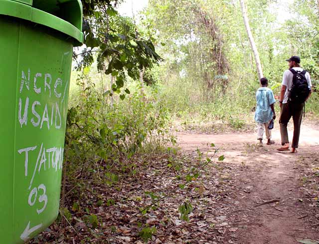 searching for monkeys