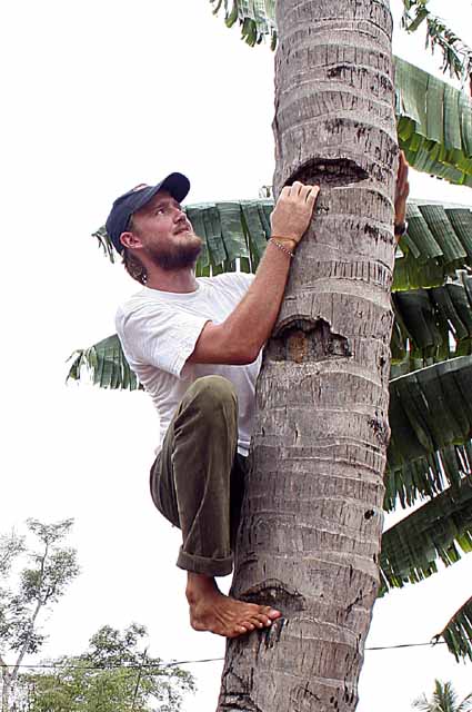 Close-up of Karl in the tree