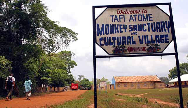 Tafe Atome monkey sanctuary