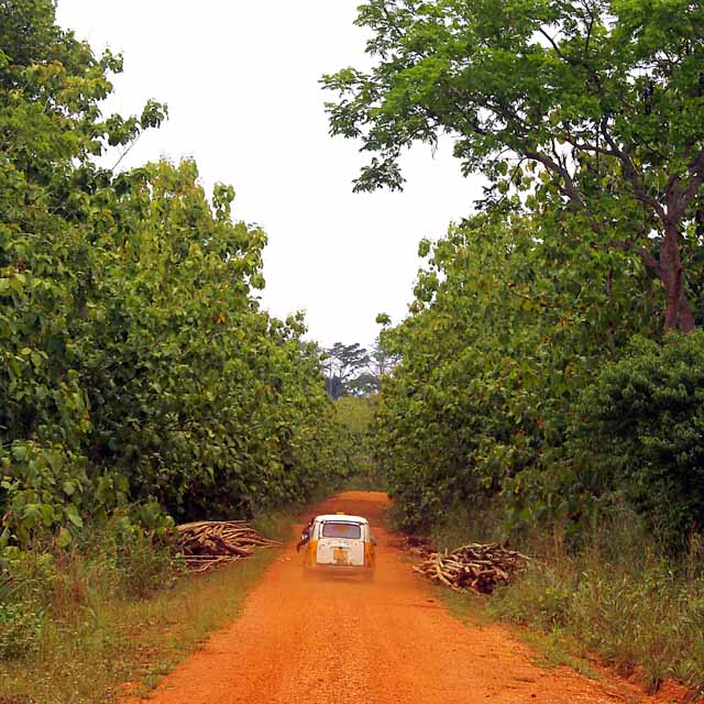 Little car going to Tafe Atome