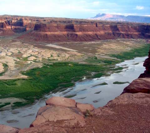 Free flowing Colorado at Hite