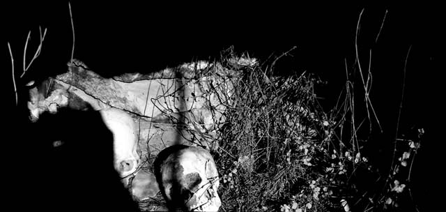 Incan tomb interior on the rim of Cotihuasi Canyon