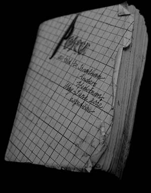 Peru Journal