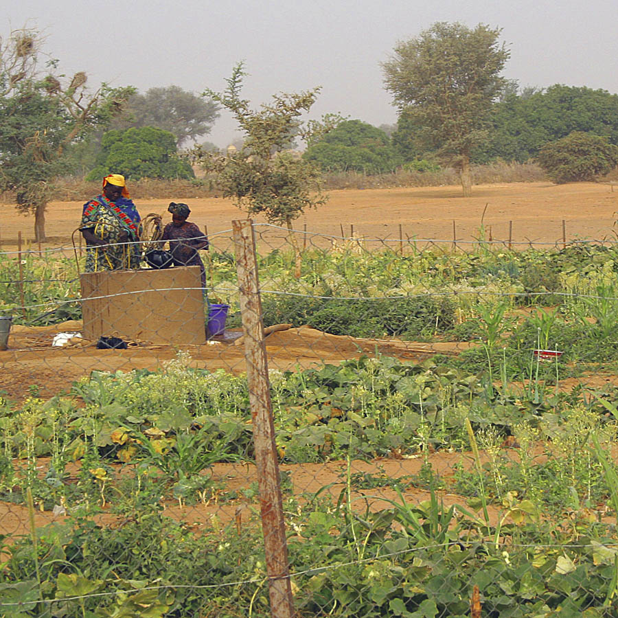 Tondi Fou Women's Garden