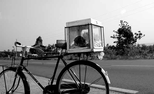 Ice cream "truck" in Bénin
