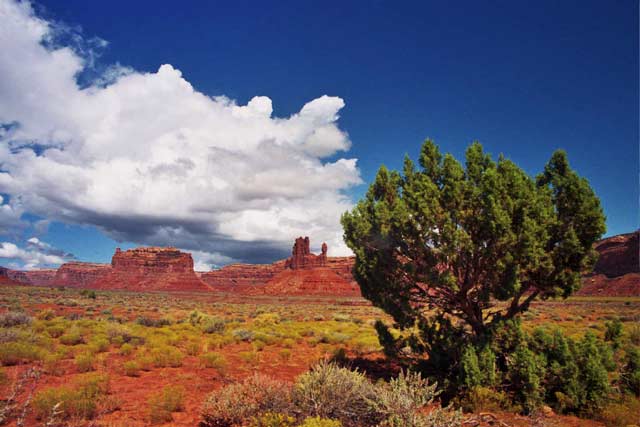 Valley of the Gods 3