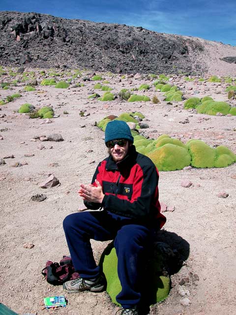 Sitting on yareta at 15,500 feet