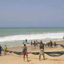 More fishing on the beach