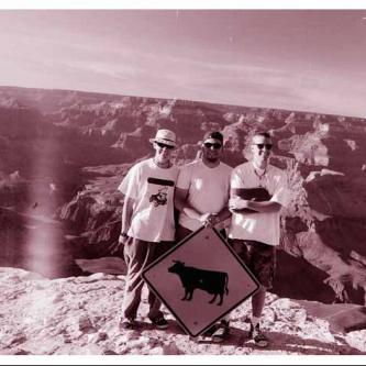 Cows and canyons