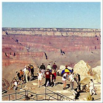 pants down and big green gun