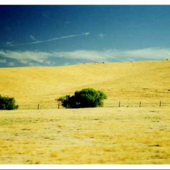 Cross-processed driving 3