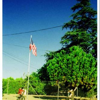 Cross-processed flag