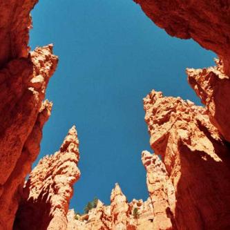 Bryce - Wallstreet 1