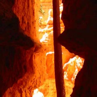 Bryce - Wallstreet 2