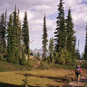 Descending from Cathedral Pass