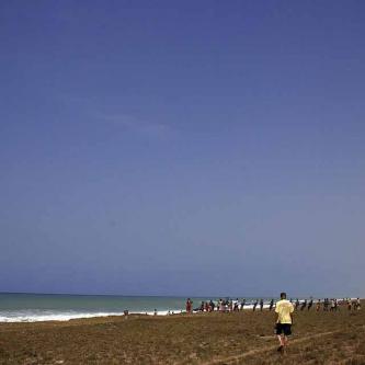 Fishing on the beach