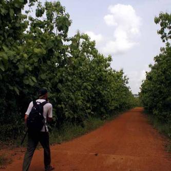 The walk to Tafe Atome