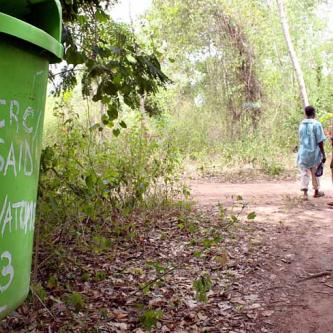 searching for monkeys