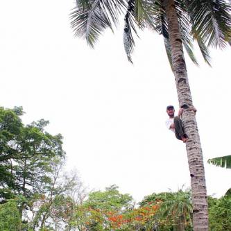 Karl climbs a tree