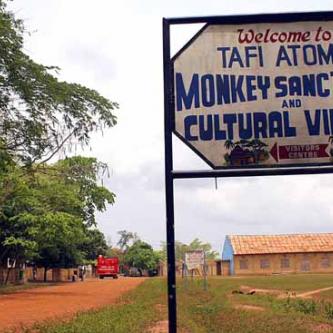 Tafe Atome monkey sanctuary