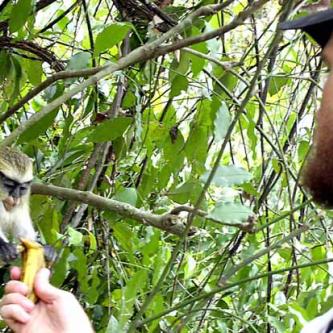 Karl feeds the monkeys