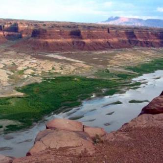 Free flowing Colorado at Hite