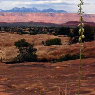 Needles District of Canyonlands