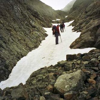 South Coulier - The Brothers