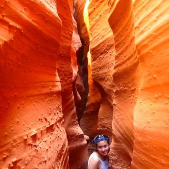 Canyon monkey in Spooky