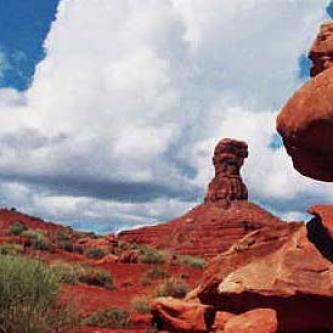 Rabbit in the Valley of the Gods