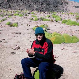 Sitting on yareta at 15,500 feet